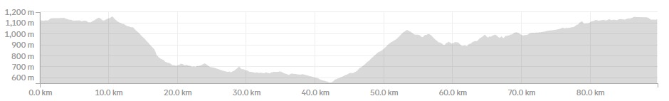 Análisis táctico en carrera
